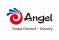 logo angelyeast